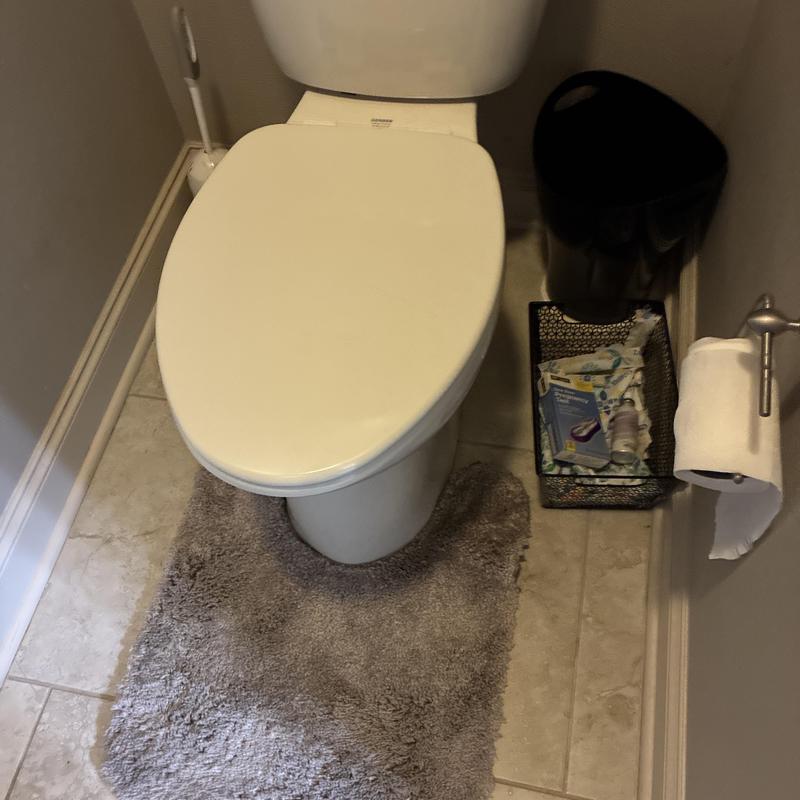 Toilet with new wax drain and flapper installed