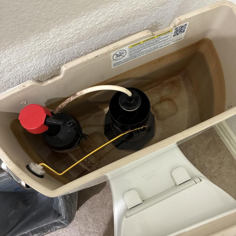 Toilet fill valve and tank interior with water level
