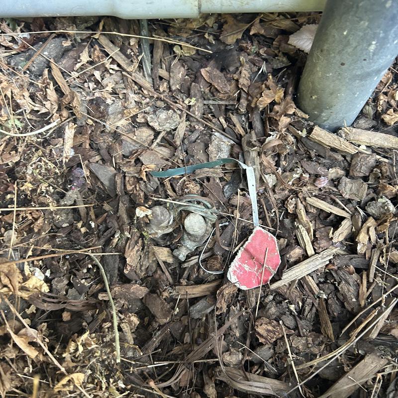 Irrigation valve buried under mulch with damaged tag