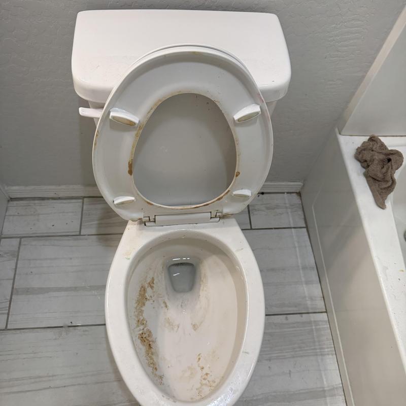 Toilet bowl with dirty stains and open lid