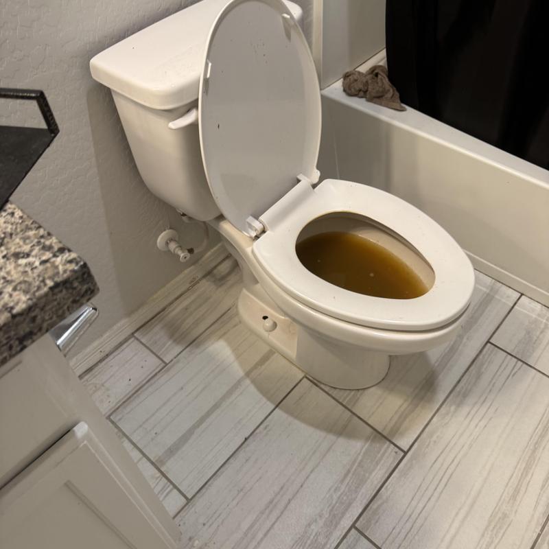 Toilet with discolored stagnant water, clog present