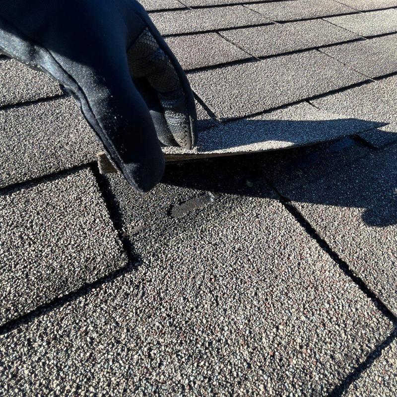 Asphalt roofing shingle lifted to inspect hail damage