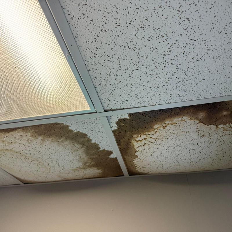 Ceiling tiles with water damage and stains