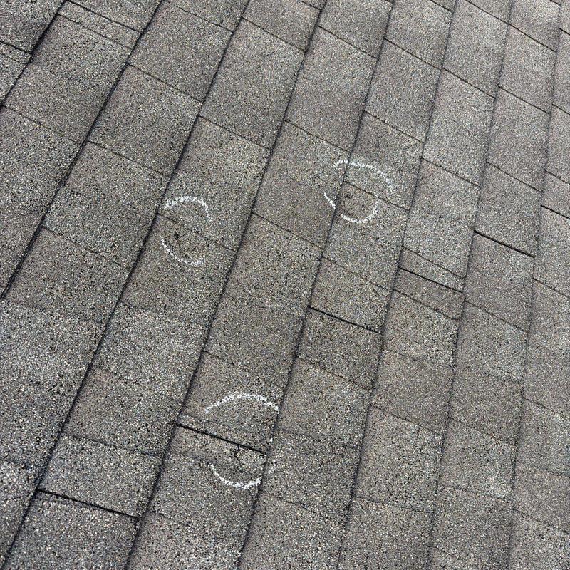Asphalt shingles with chalk marks on hail damage