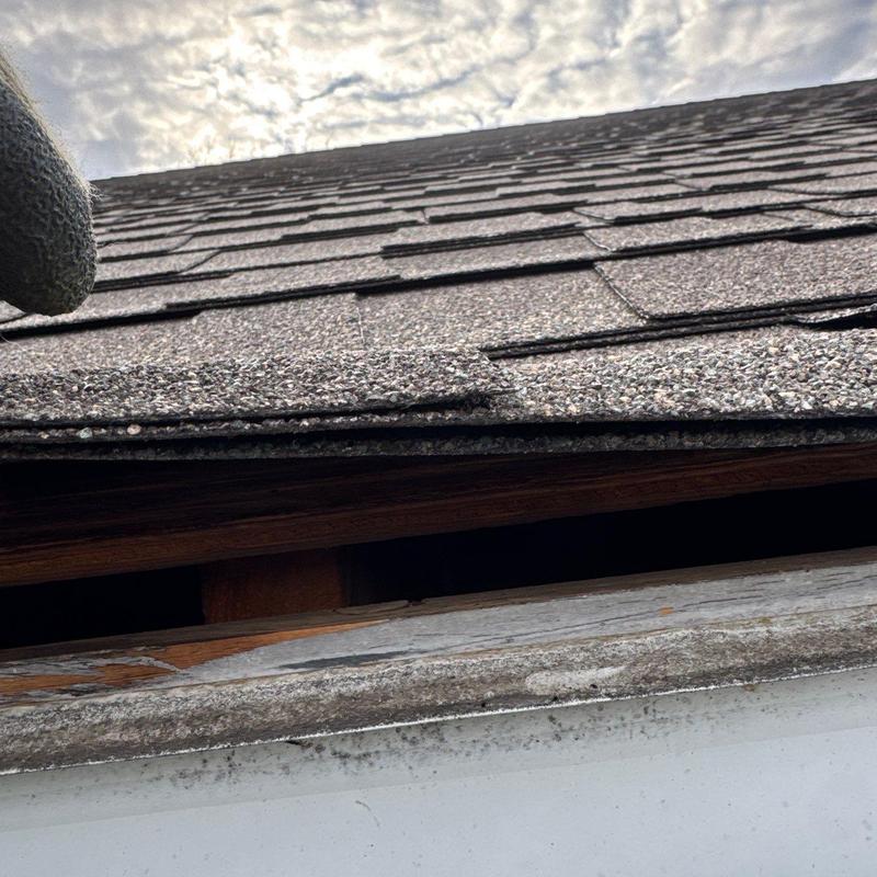 Asphalt shingles with hail damage and exposed wood