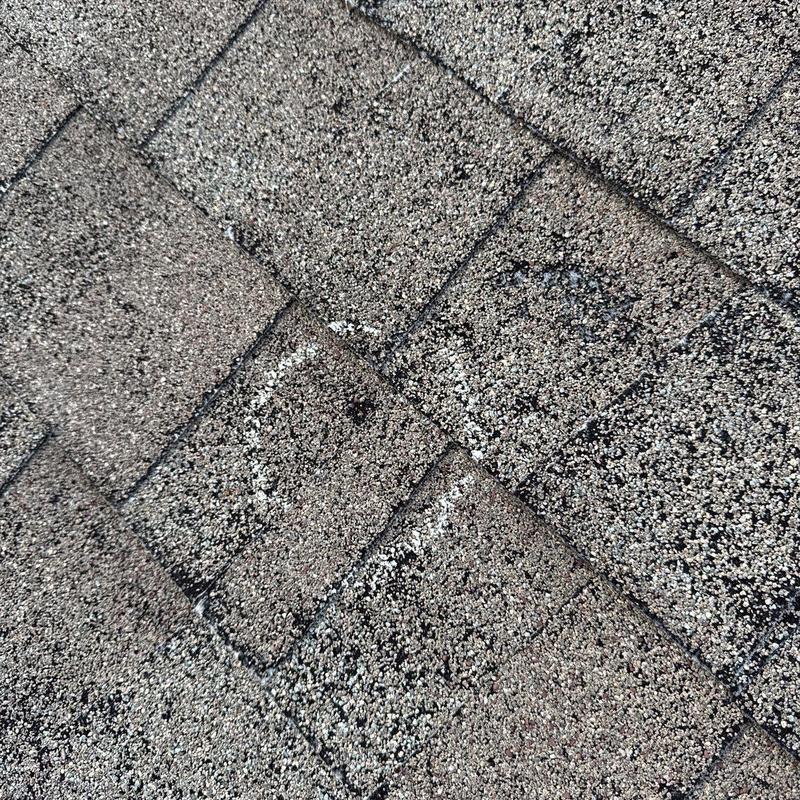 Asphalt roof shingles with hail damage marks