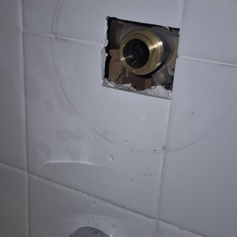 Price Pfister shower valve inside tile wall cavity
