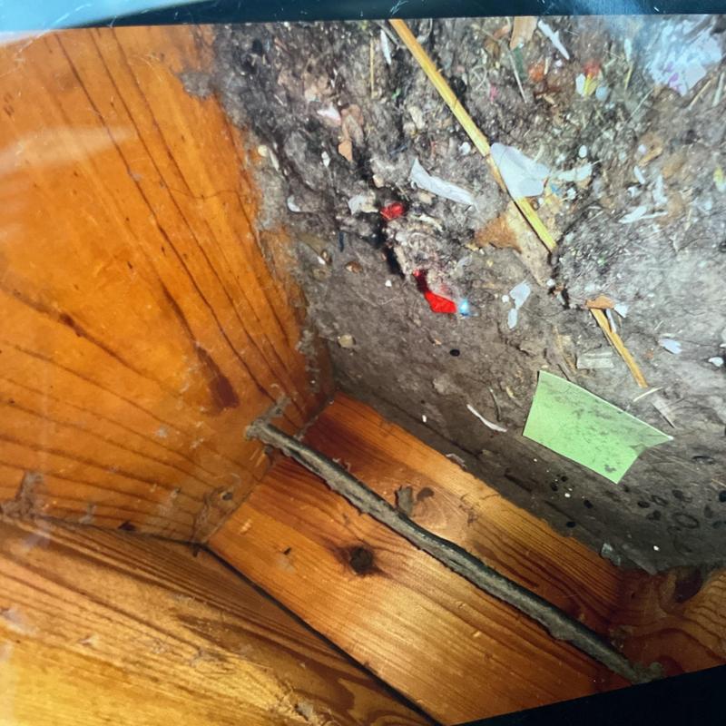 Attic corner with rodent nest debris buildup Attic corner with rodent nest debris buildup