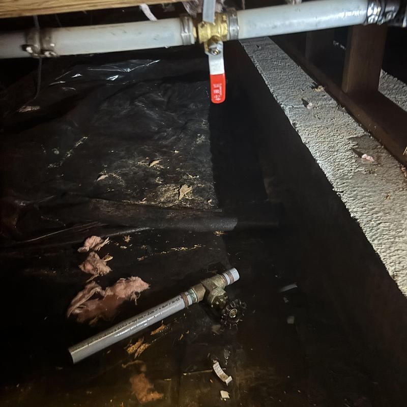 Ball valve replacement and pipe section in crawl space