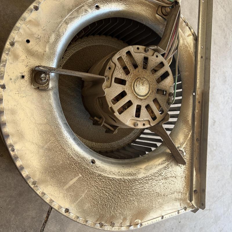 Indoor blower motor and wheel with dust buildup Indoor blower motor and wheel with dust buildup