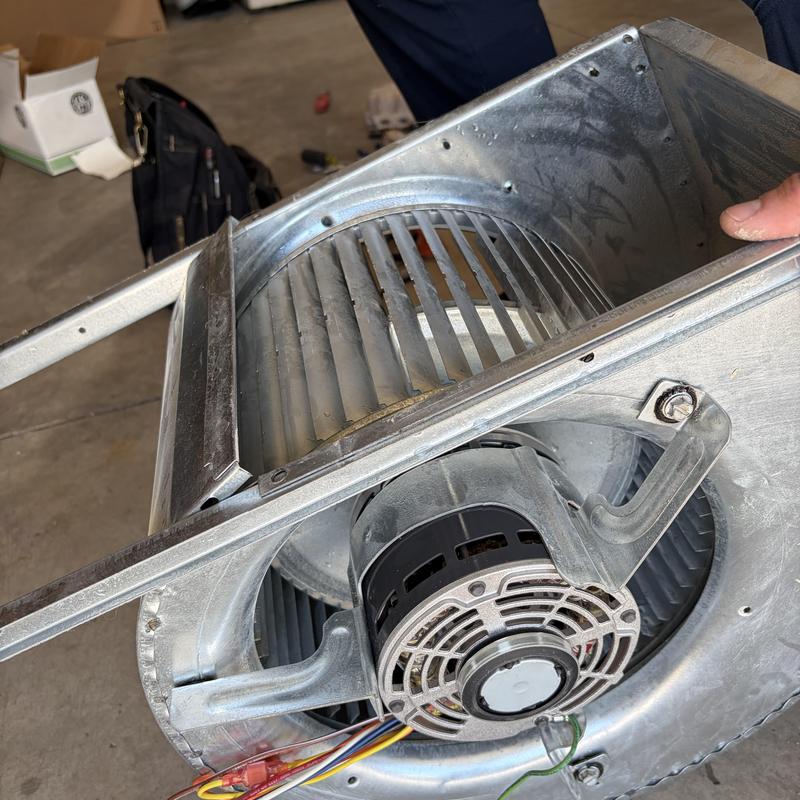 Indoor blower motor and wheel with dust buildup Indoor blower motor and wheel with dust buildup