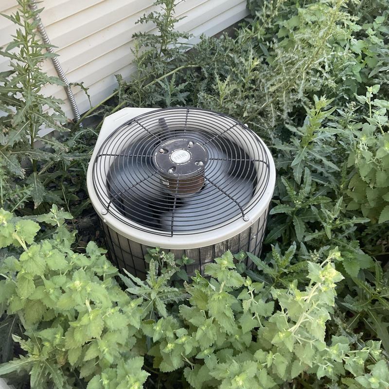 HVAC condenser unit surrounded by overgrown weeds