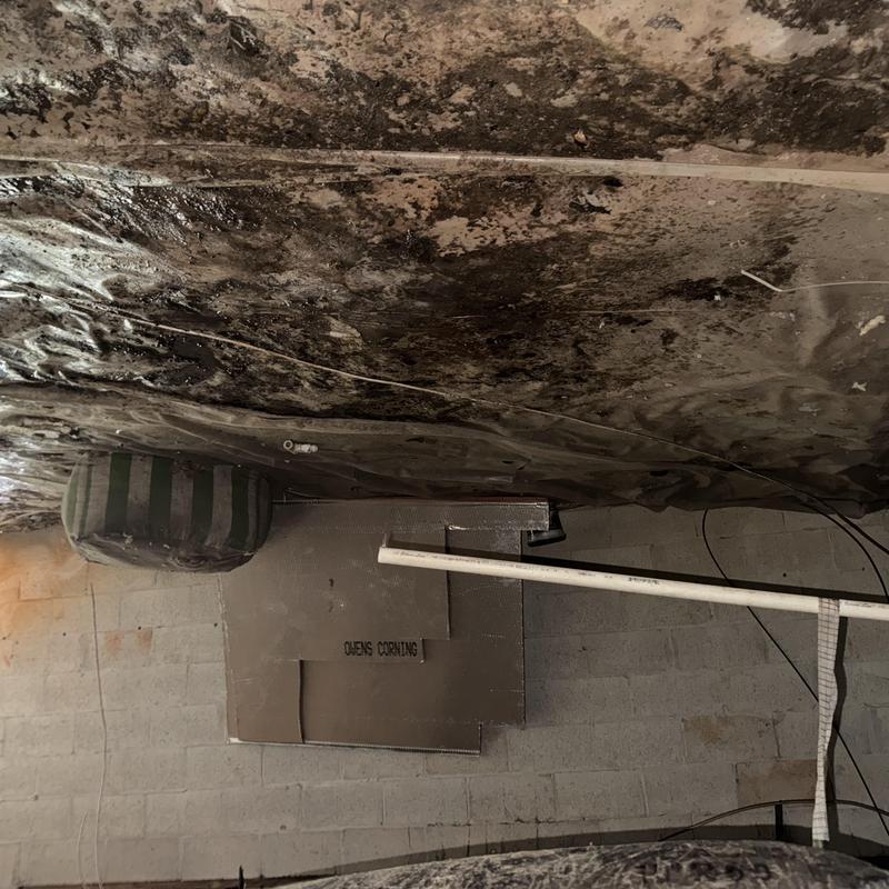 Ductwork and drain lines under house with mold buildup Ductwork and drain lines under house with mold buildup