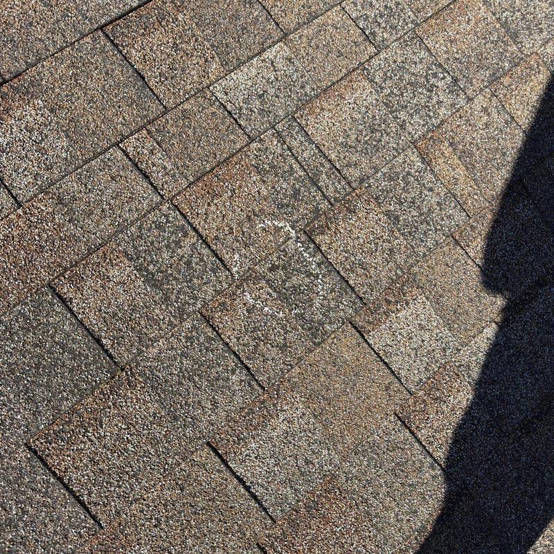 Asphalt roofing shingles with hail damage markings