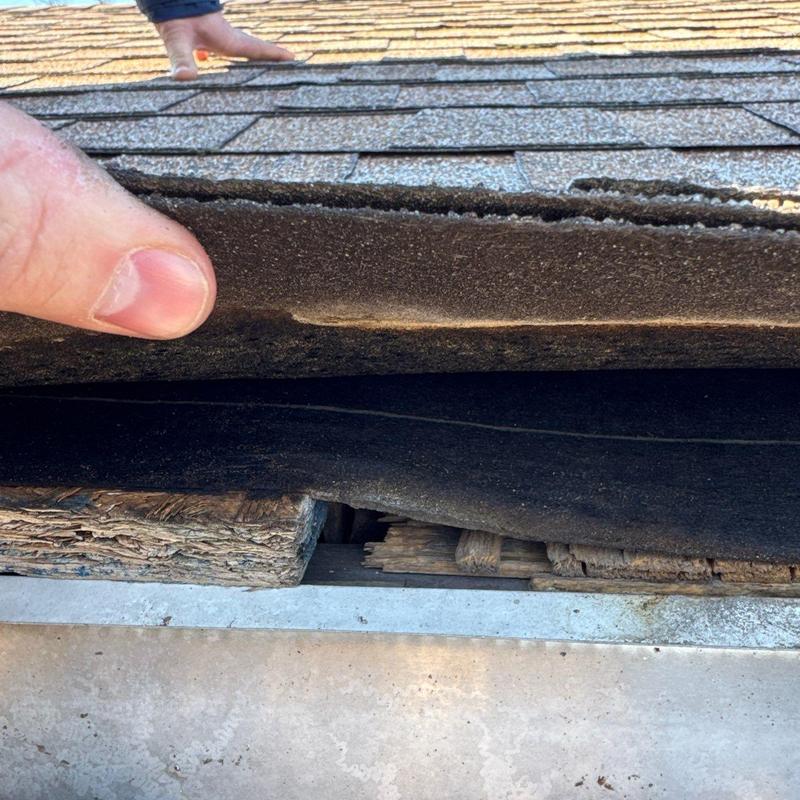Asphalt shingles lifted showing roof decking damage