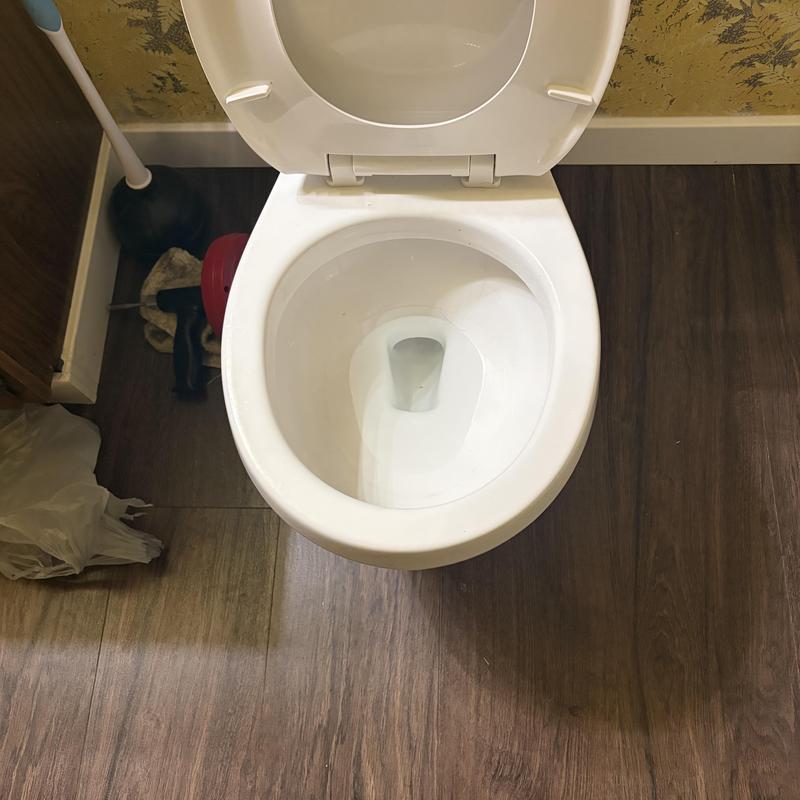 Basement toilet with plunger and drain snake tools Basement toilet with plunger and drain snake tools