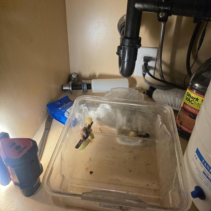 Kitchen sink P-trap with removed debris under cabinet Kitchen sink P-trap with removed debris under cabinet