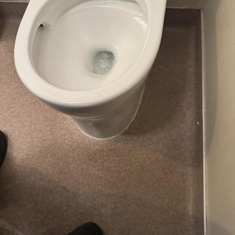 Toilet flushing after sewer line clearing in residence