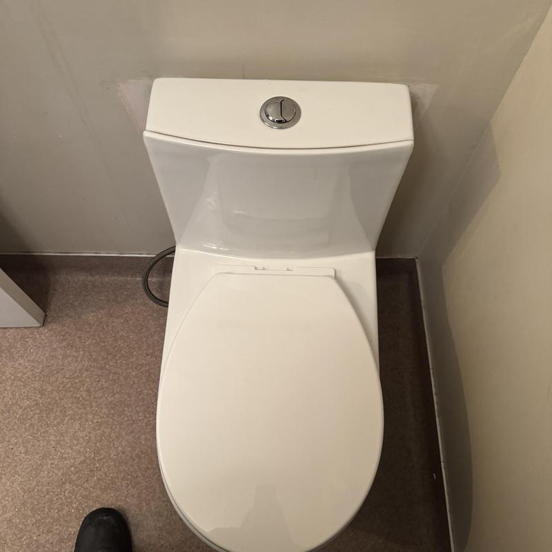 Toilet reinstalled after sewer line clearing and sealing