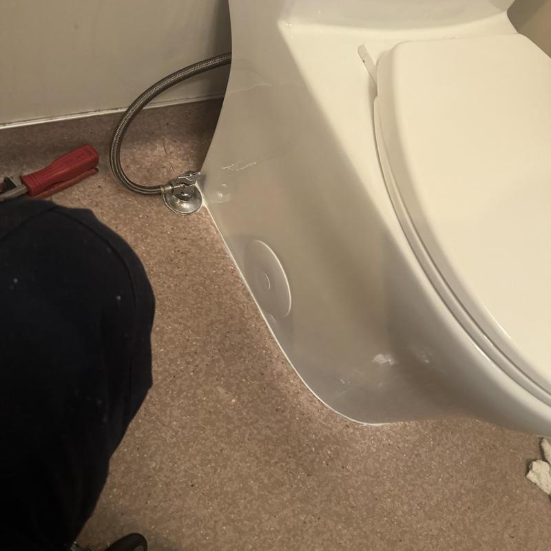 Toilet drain clearing with wax ring replacement