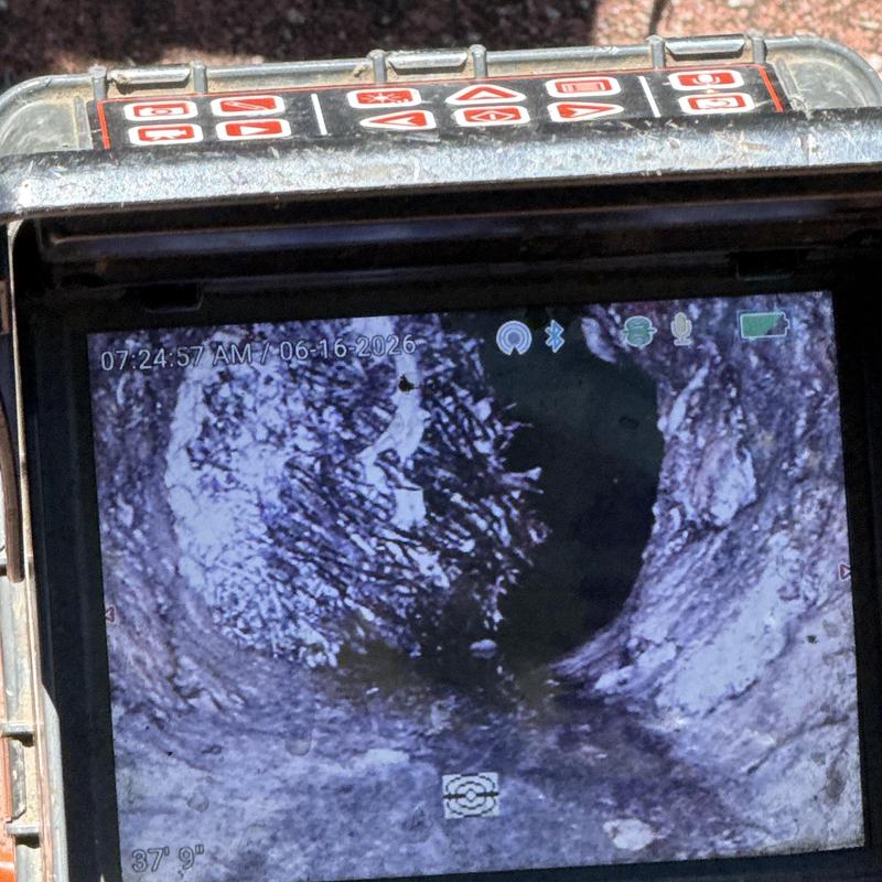Sewer line camera inspection showing root intrusion