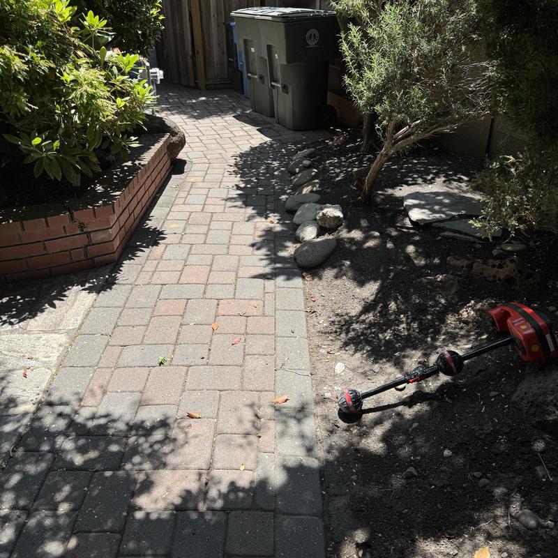 Sewer line hydro jetting area with garden tools nearby