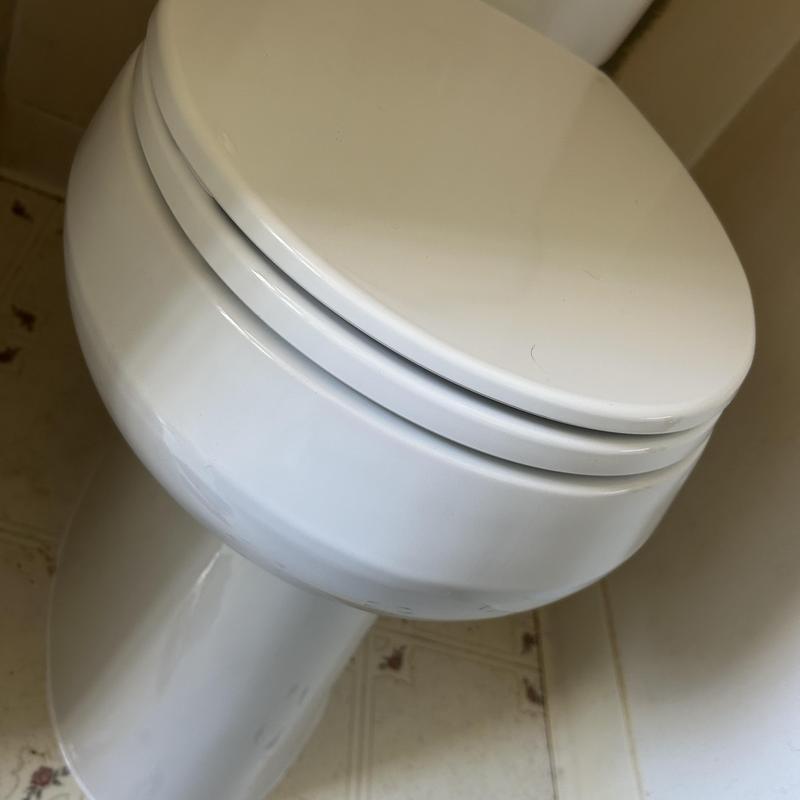 Toilet close-up with customer-supplied new installation Toilet close-up with customer-supplied new installation