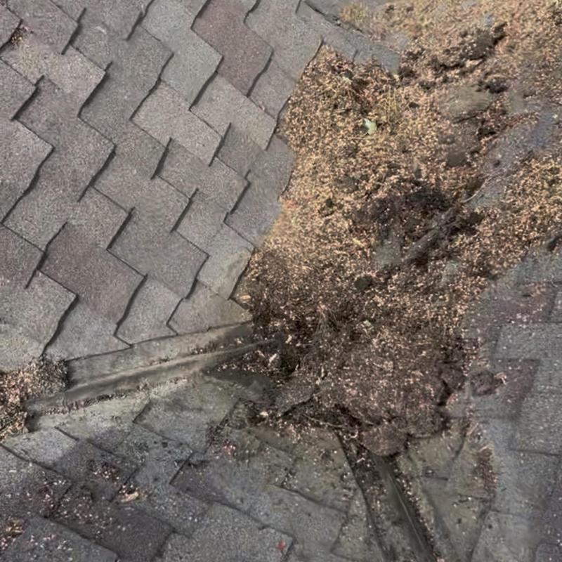 Roof valley with accumulated debris and damaged shingles Roof valley with accumulated debris and damaged shingles