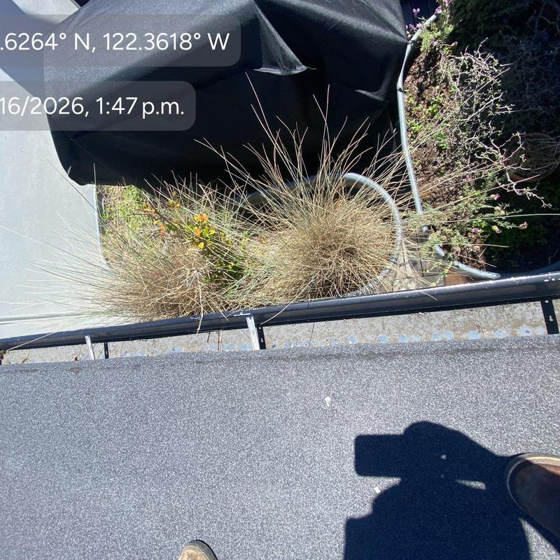 Flat roof edge with debris and gutter buildup