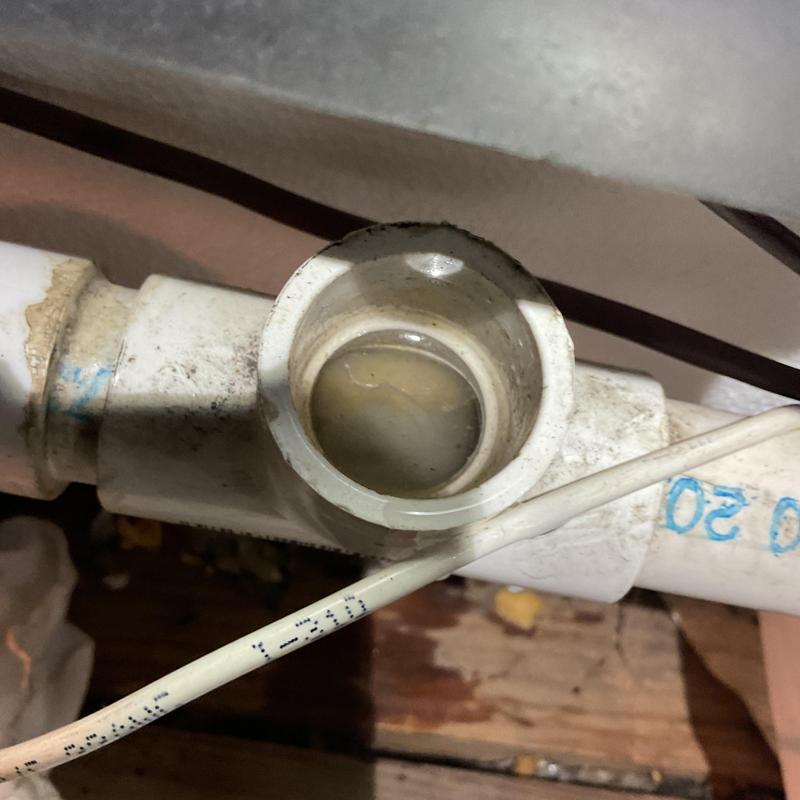 Condensate drain line with trapped water in cleanout Condensate drain line with trapped water in cleanout