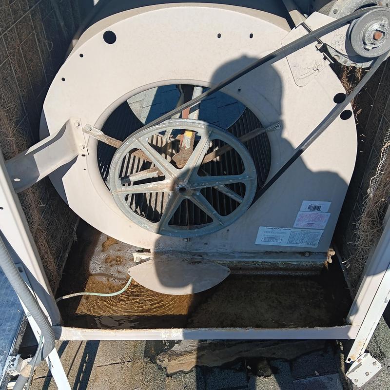 Swamp cooler fan and belt system with water basin