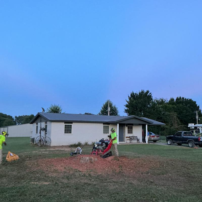 Tree stump grinding near residential house at dusk Tree stump grinding near residential house at dusk