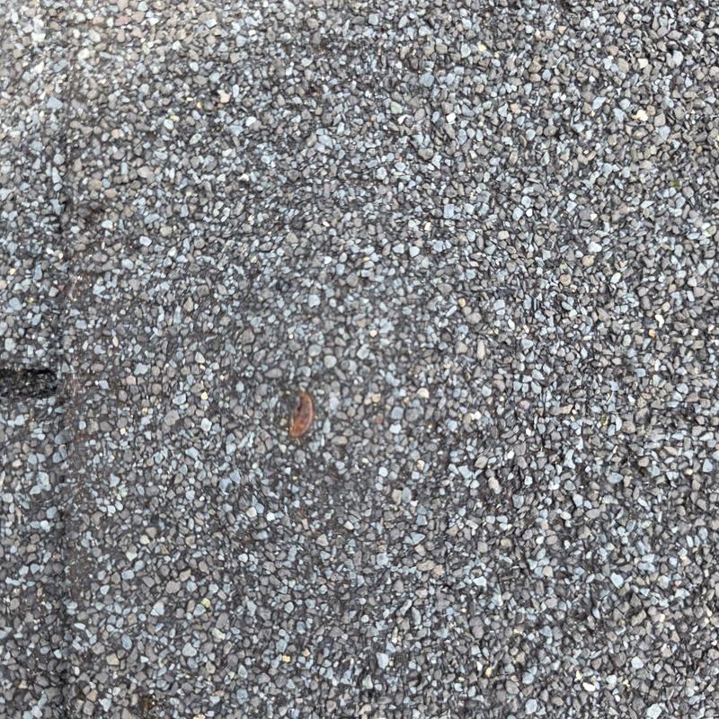 Three tab roof nails popping through granules