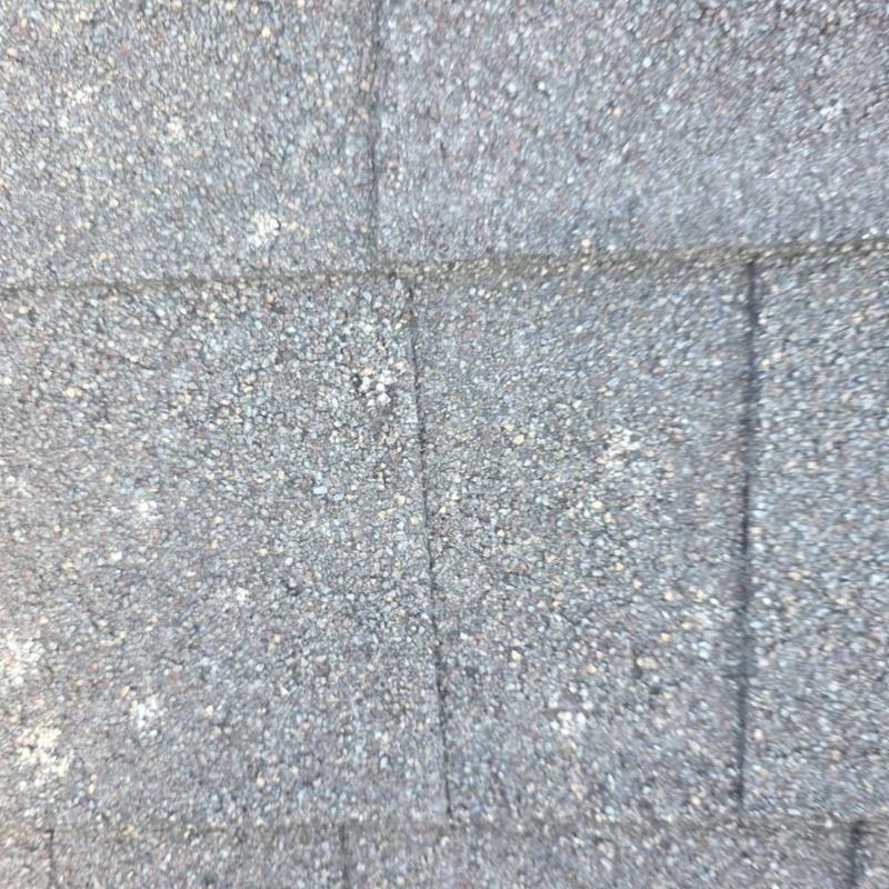 Asphalt shingle roof showing hail damage and wear