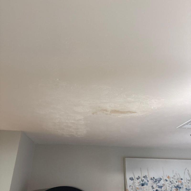 Ceiling drywall with water damage and stains