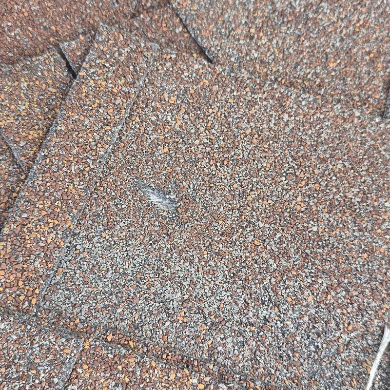 Asphalt roof shingles with hail damage close-up