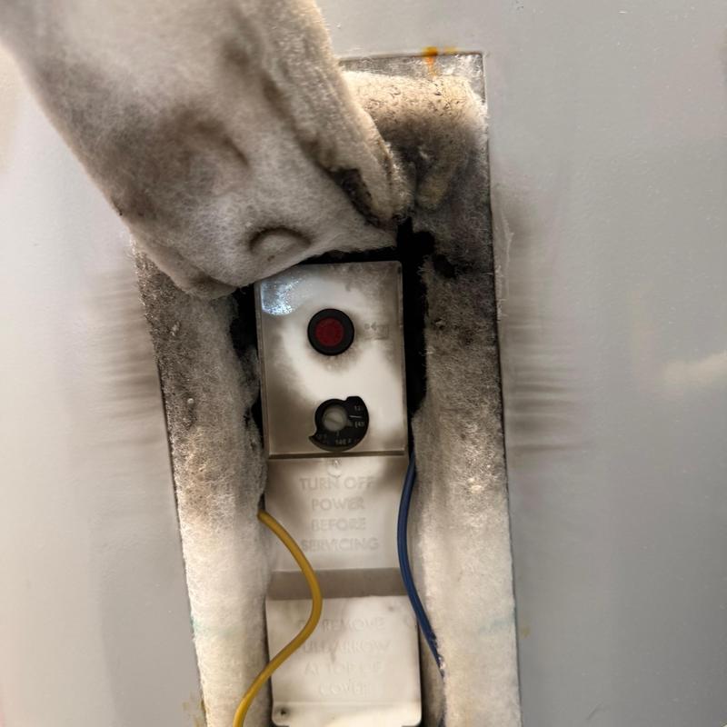 Water heater thermal switch with burn damage
