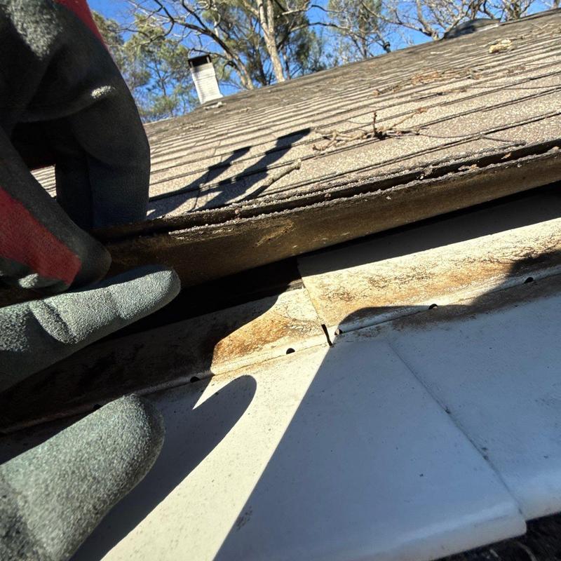 Asphalt roofing shingles lifted to inspect damage
