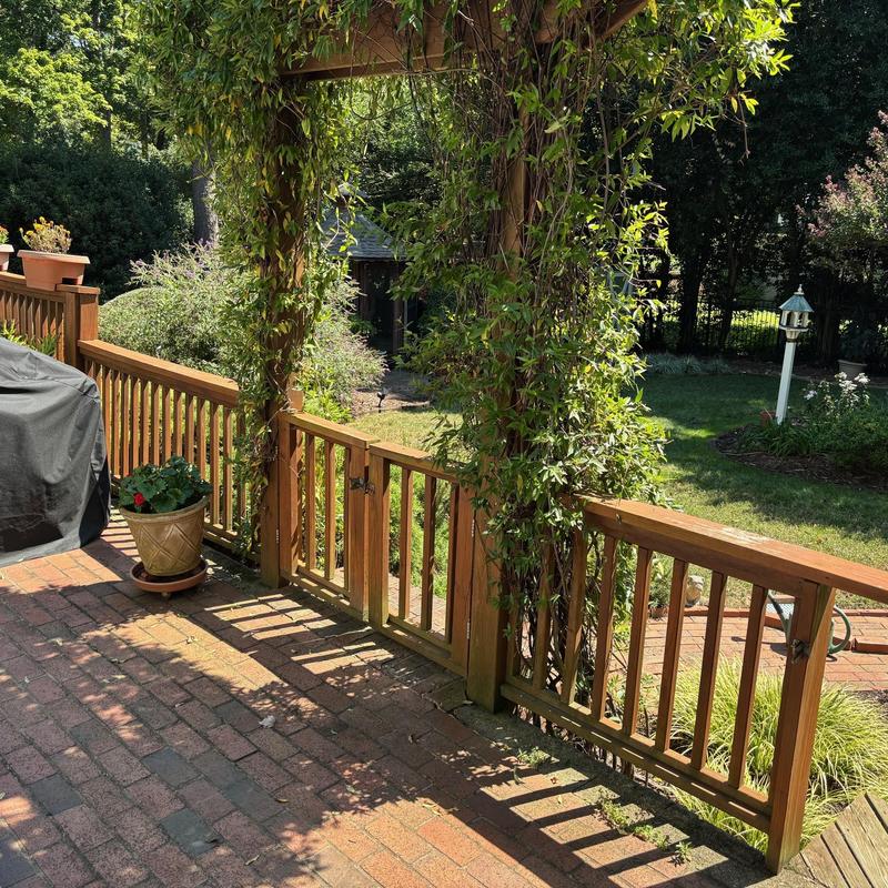 Wooden deck railing with gate and arbor Wooden deck railing with gate and arbor