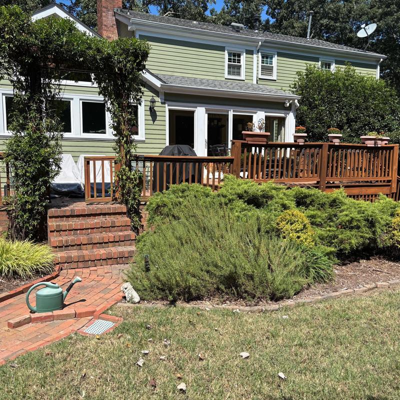 Wooden deck with railing and brick steps in backyard Wooden deck with railing and brick steps in backyard