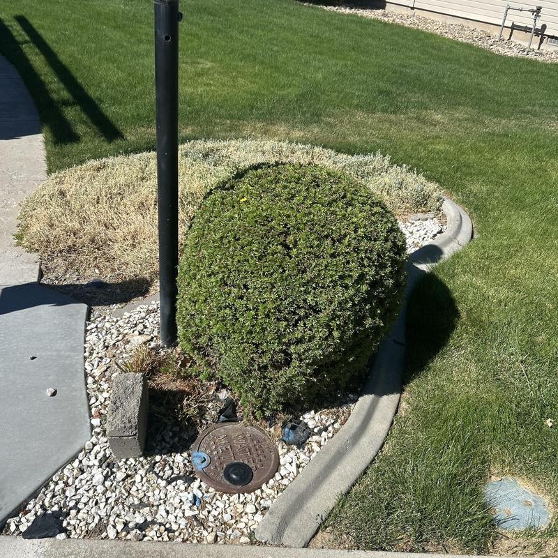 Yard light pole foundation with landscaping around it