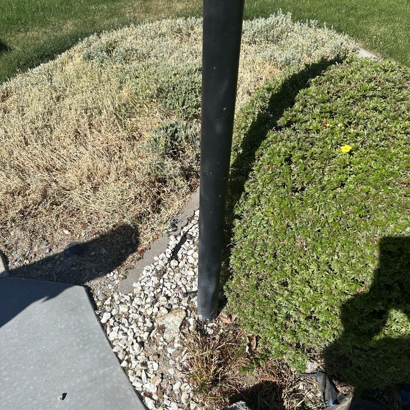 Yard light pole loose in gravel bed near bushes