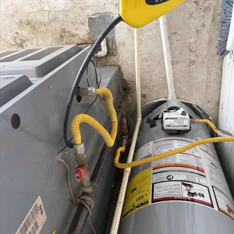 Gas water heater with leak detector inspection