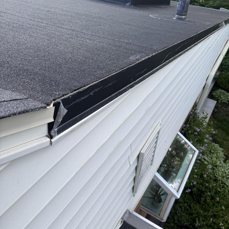 Flat roof edge with protective flashing and vinyl siding Flat roof edge with protective flashing and vinyl siding