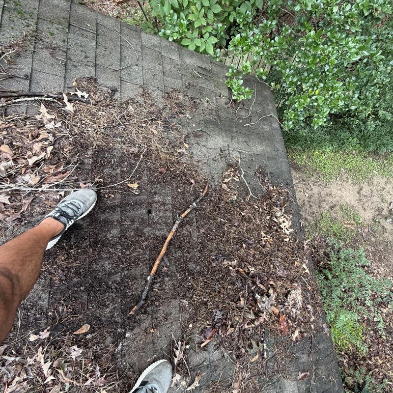 Asphalt shingle roof with debris and dirt buildup