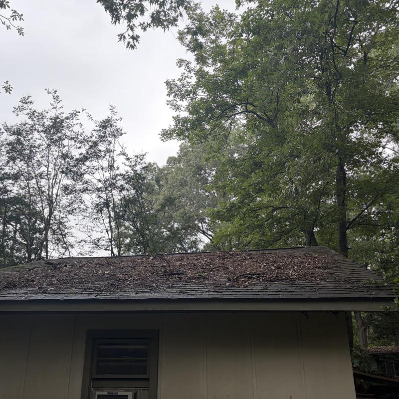 Asphalt shingle roof with debris and leaf buildup