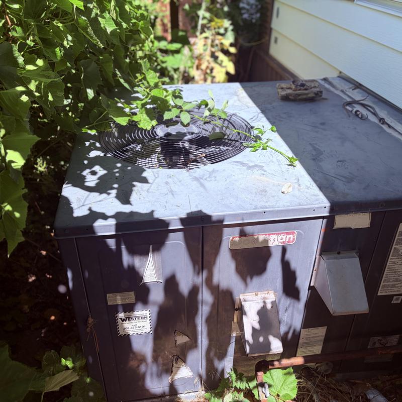 Air conditioner outdoor unit with shading plants
