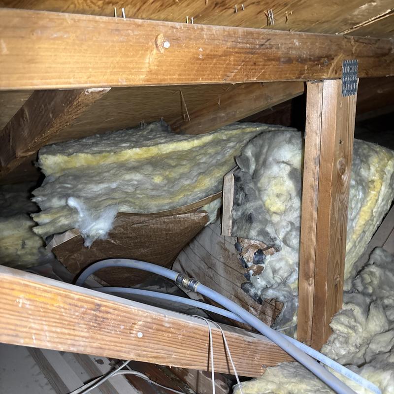 Pex water supply lines in attic with damaged insulation