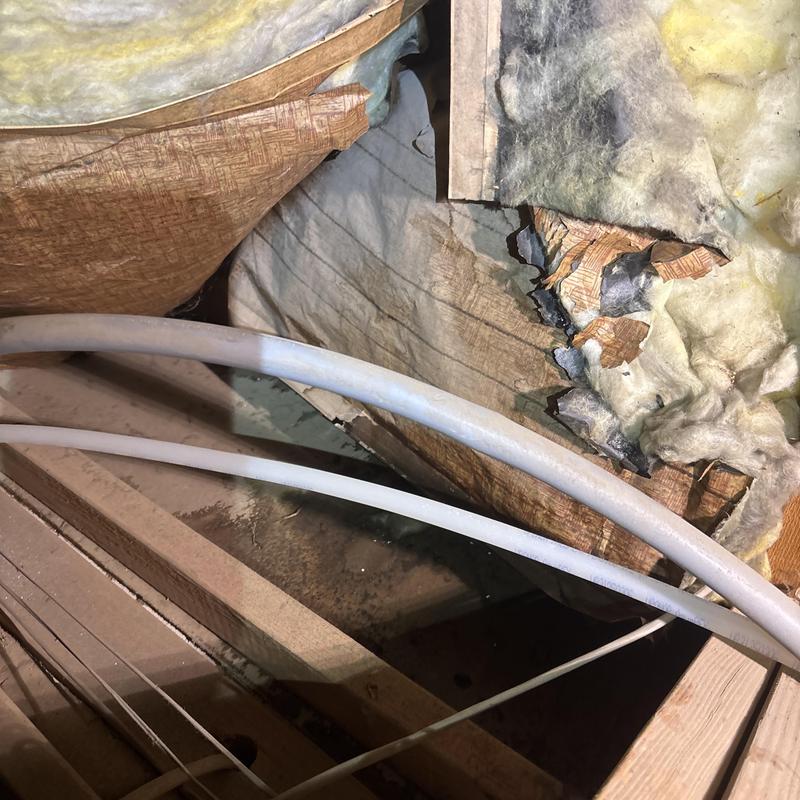 Water supply pipes near damaged attic insulation in Glendale