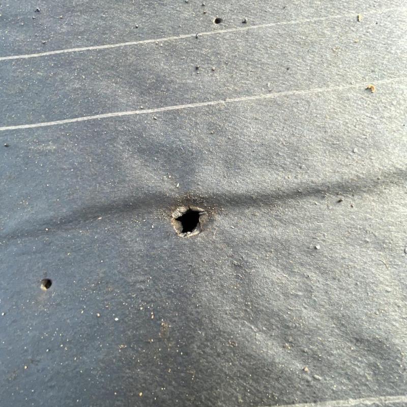 Roof underlayment puncture before repair close-up